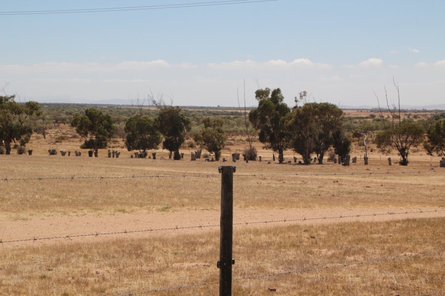 5 Bedroom Property for Sale in Darling Western Cape